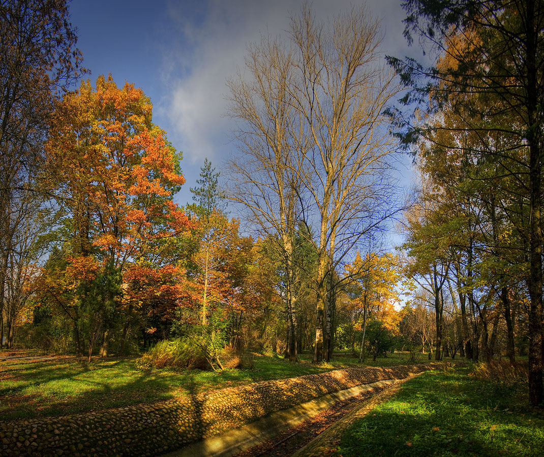 Червонное золото