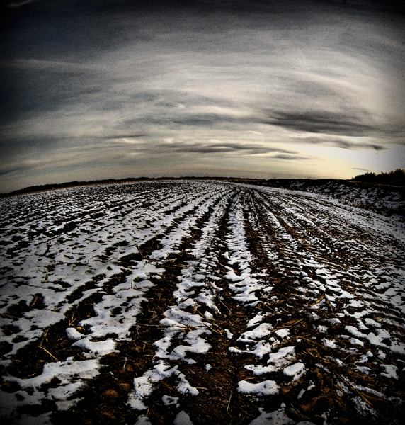 первоснежная зябь