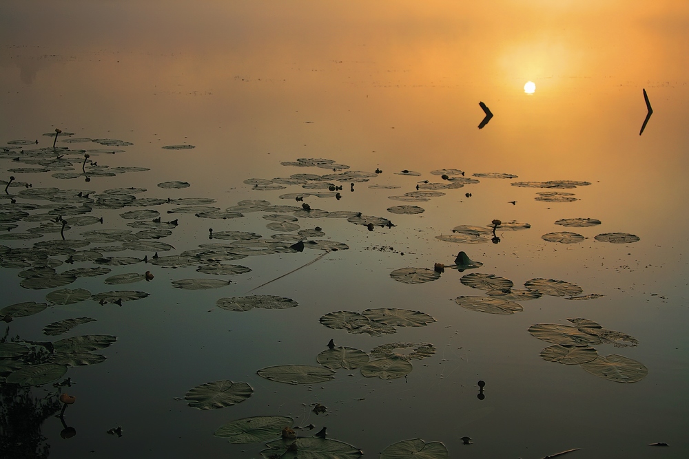 Про восход солнца