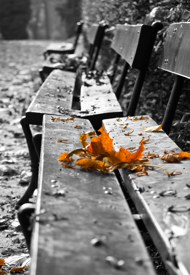 уходящей осени...