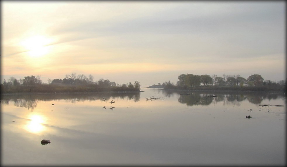 ранкавая бязветрань