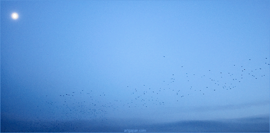 [ Ticket to the Moon ]