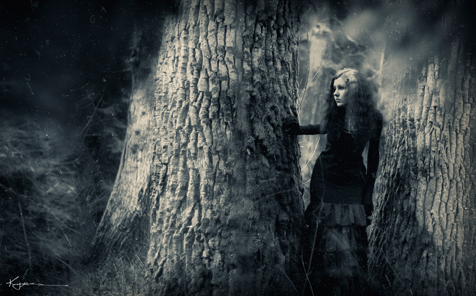 в поисках Николодина