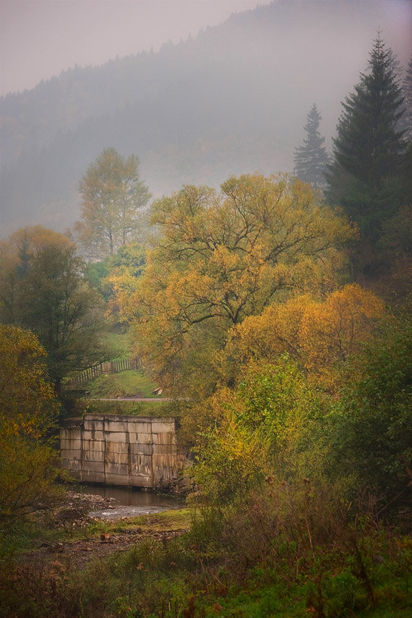 Карпатская зарисовка 2