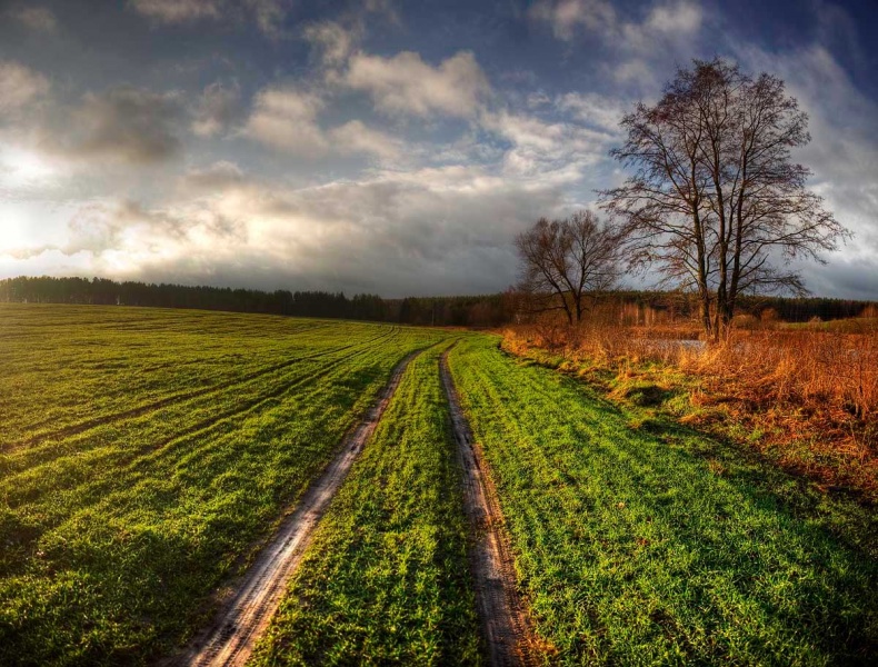 |   Дорога с облаками   |