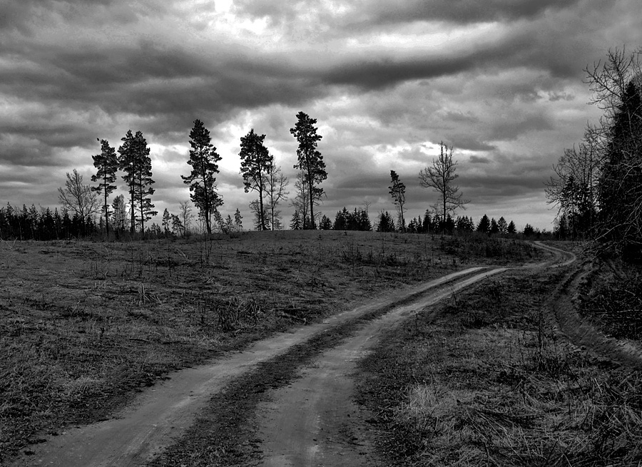 дорога в ночь