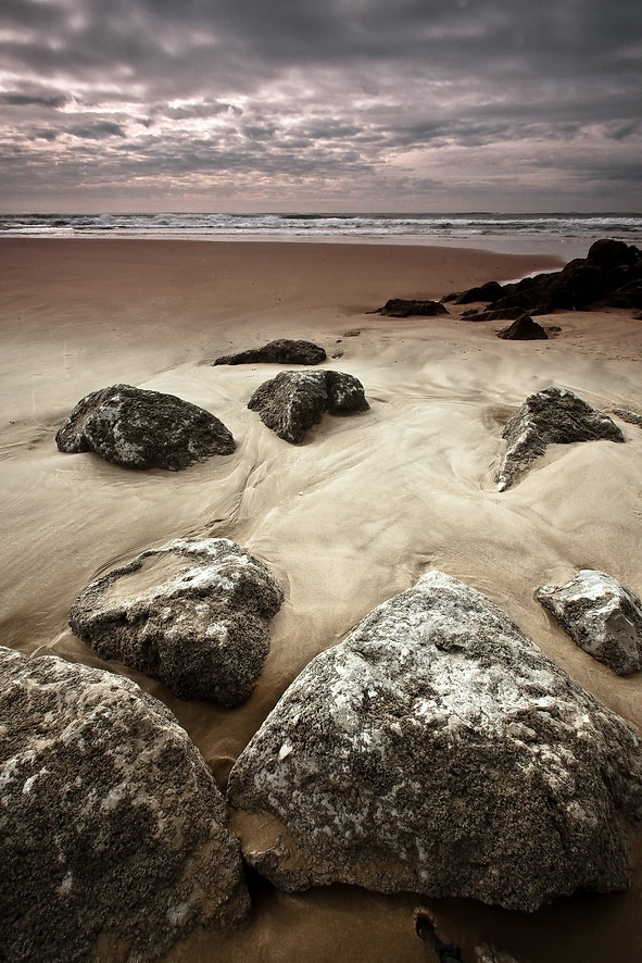 Мёртвый Сезон.