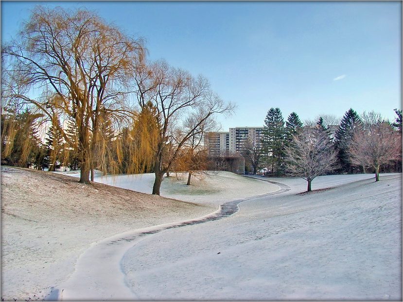 дзень першага сьнегу