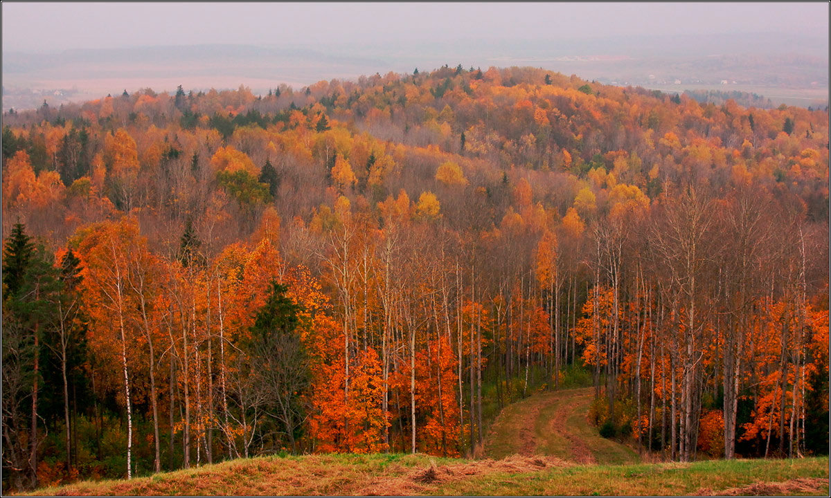 Про то, что спрятал снег