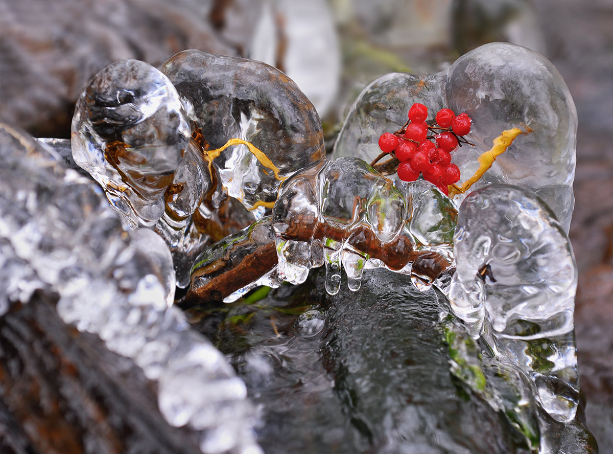 Они вернулись -"ледяная матрица"