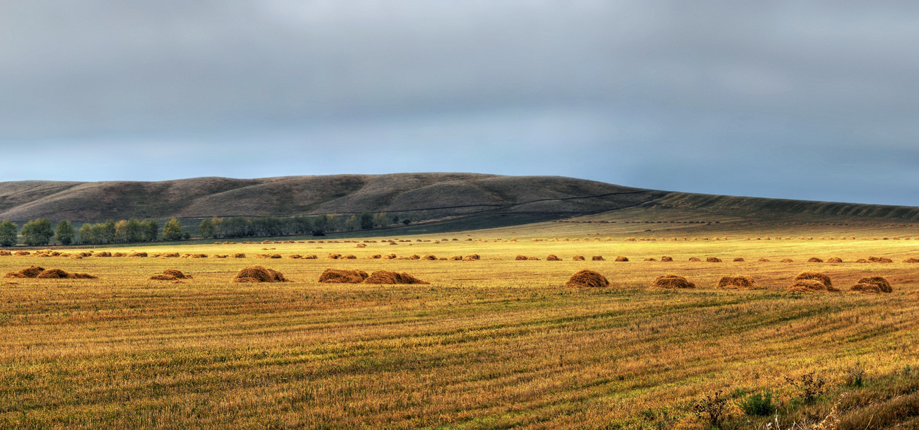Осенние цвета