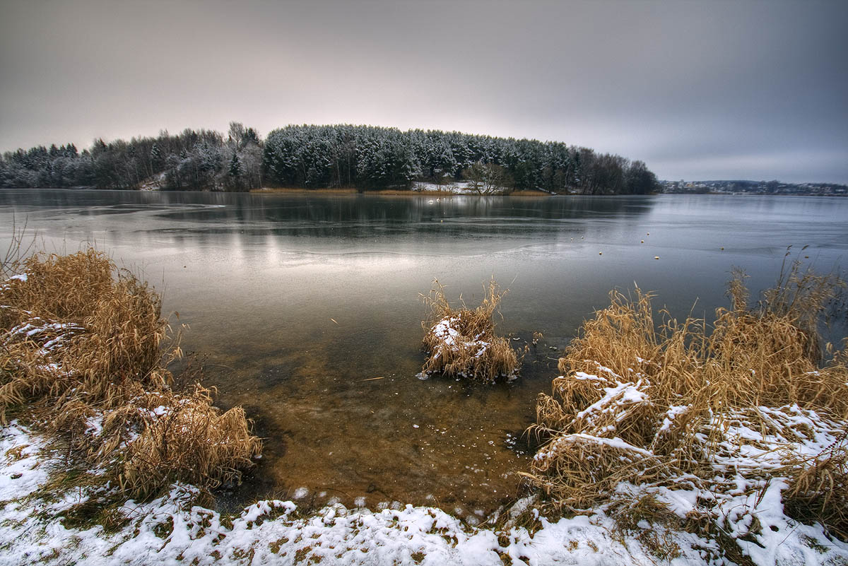 |   Прозрачный    Л Е Д   |