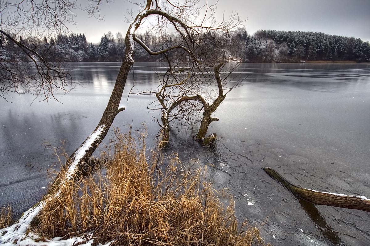 |   С П Л Е Т Е Н И Е   |