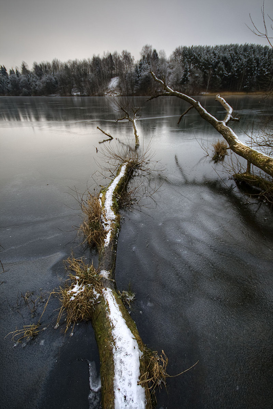 |     П И Т О Н     |
