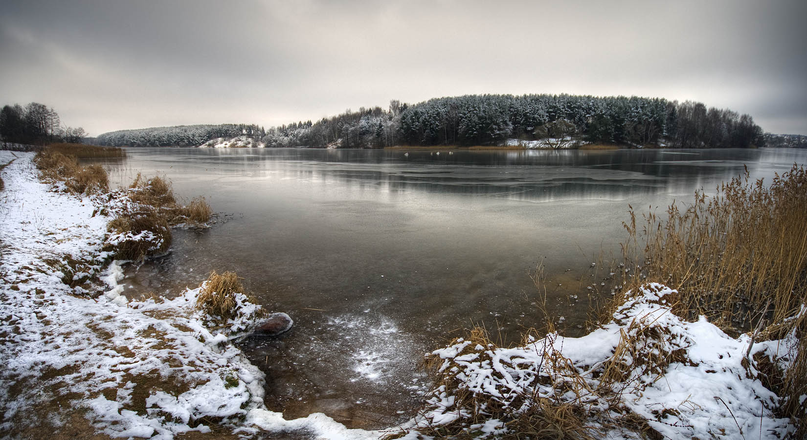 |   Сковало   |