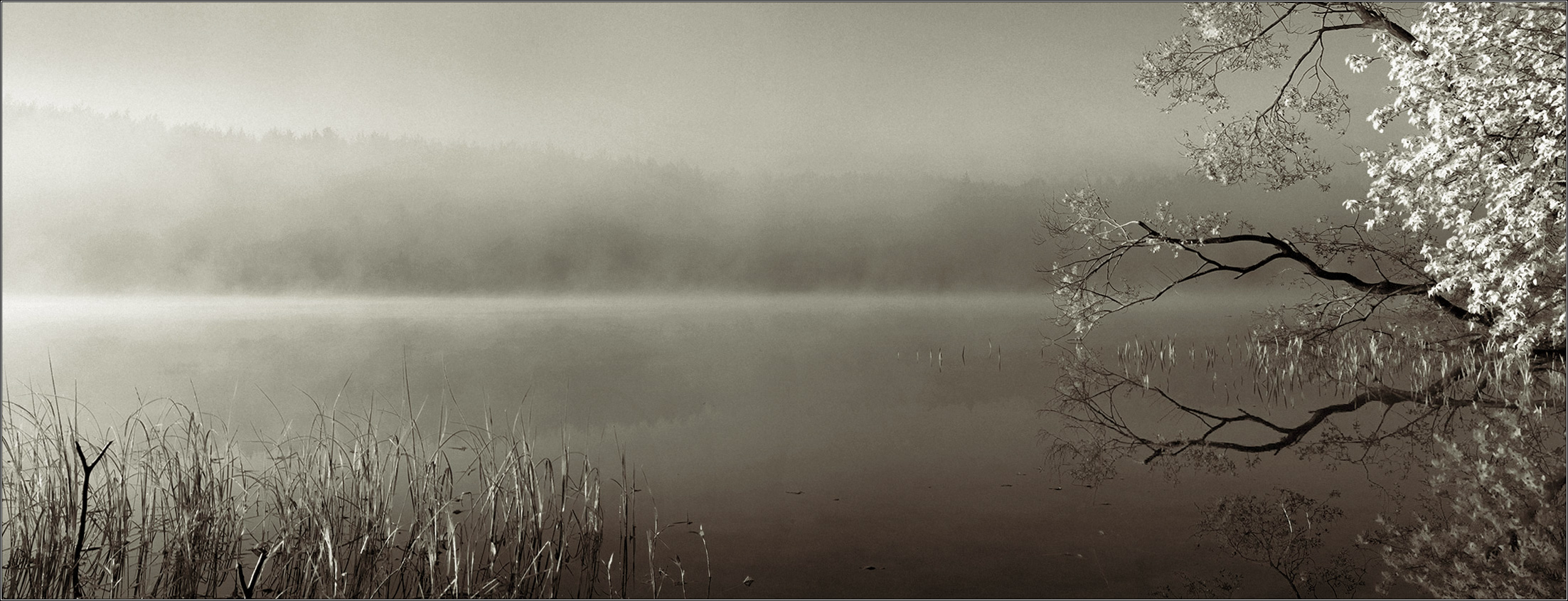 Туман  как   проявитель