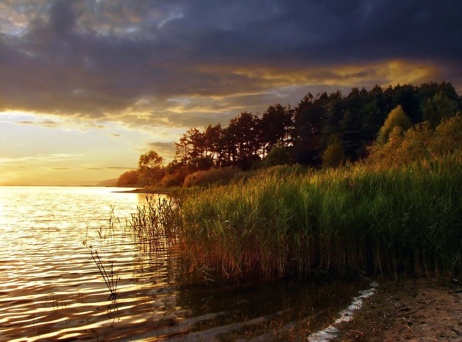 Золотые вечера.....