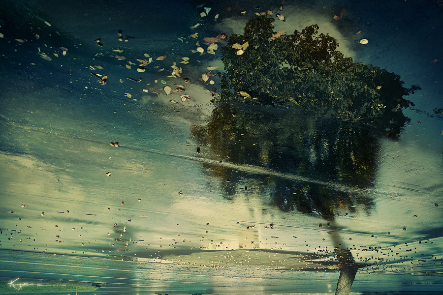 каштановое настроение ...