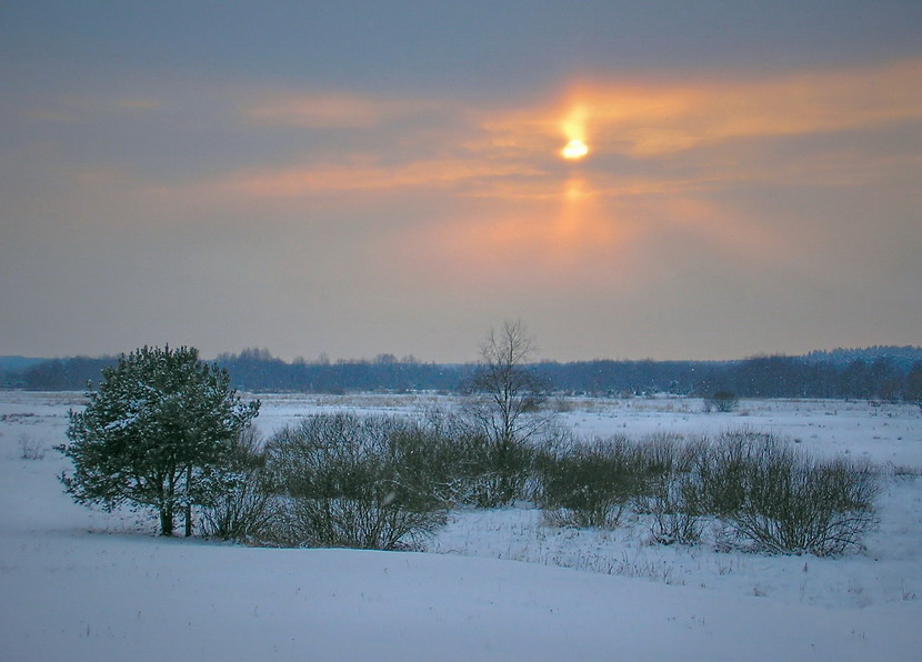 зимний пейзаж