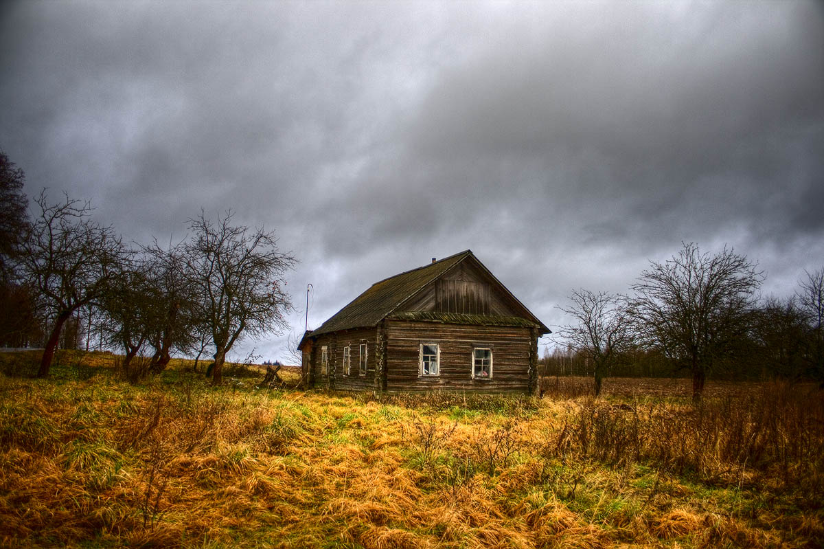 |   Сельская местность   |