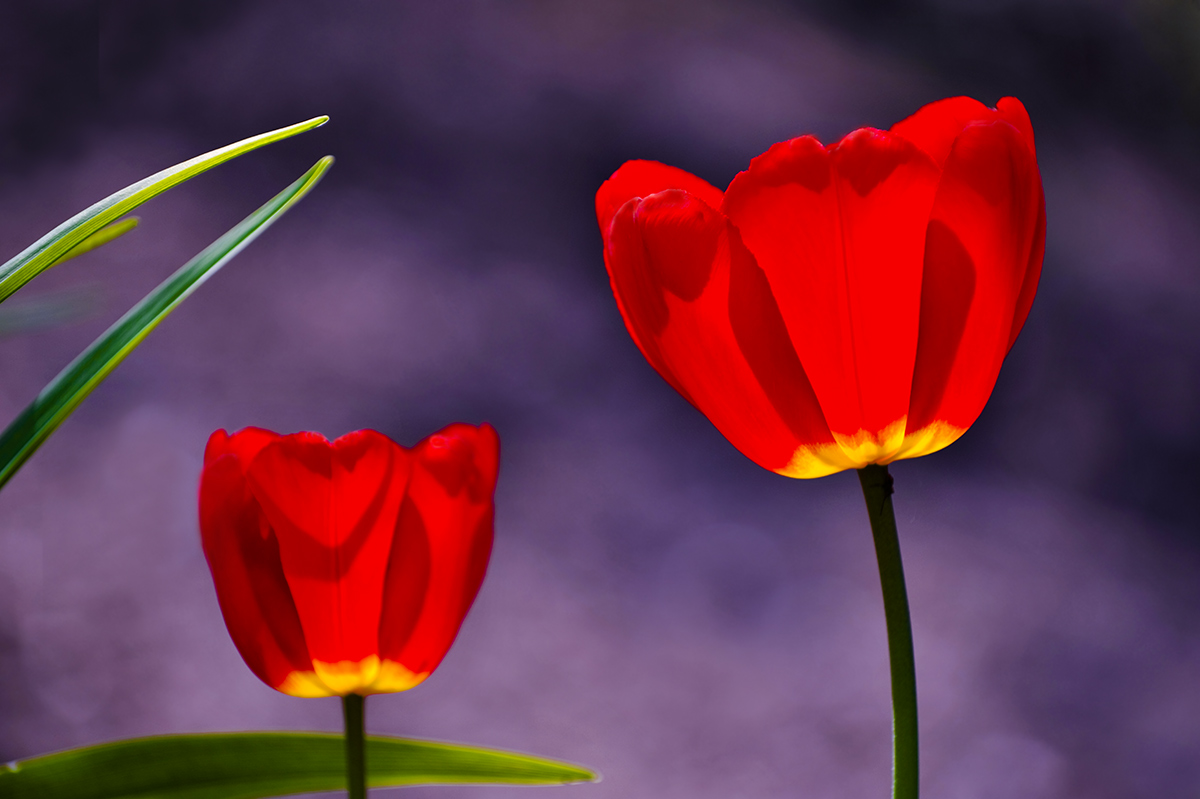 RGB - тепло и холод