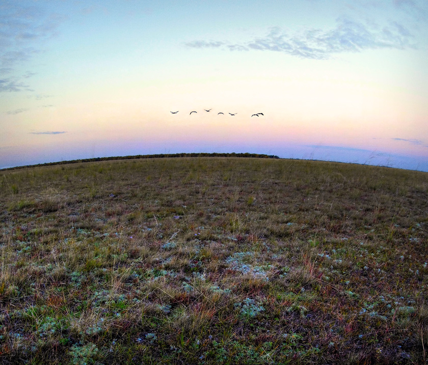Прощайте, степи...
