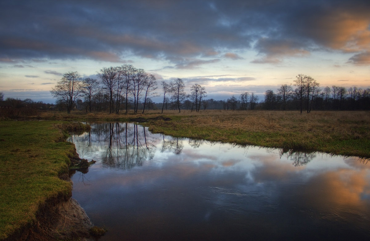|   Отражения Плисы   |