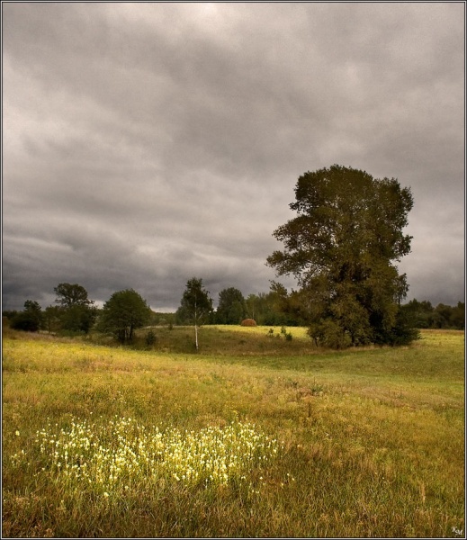 На исходе лета