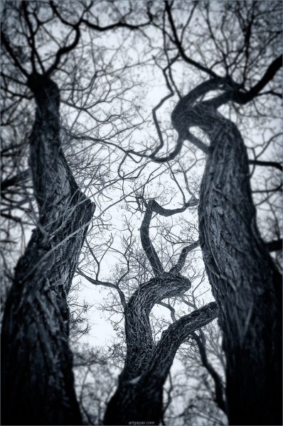 ~ D A N S I N G ~ D A N S I N G ~