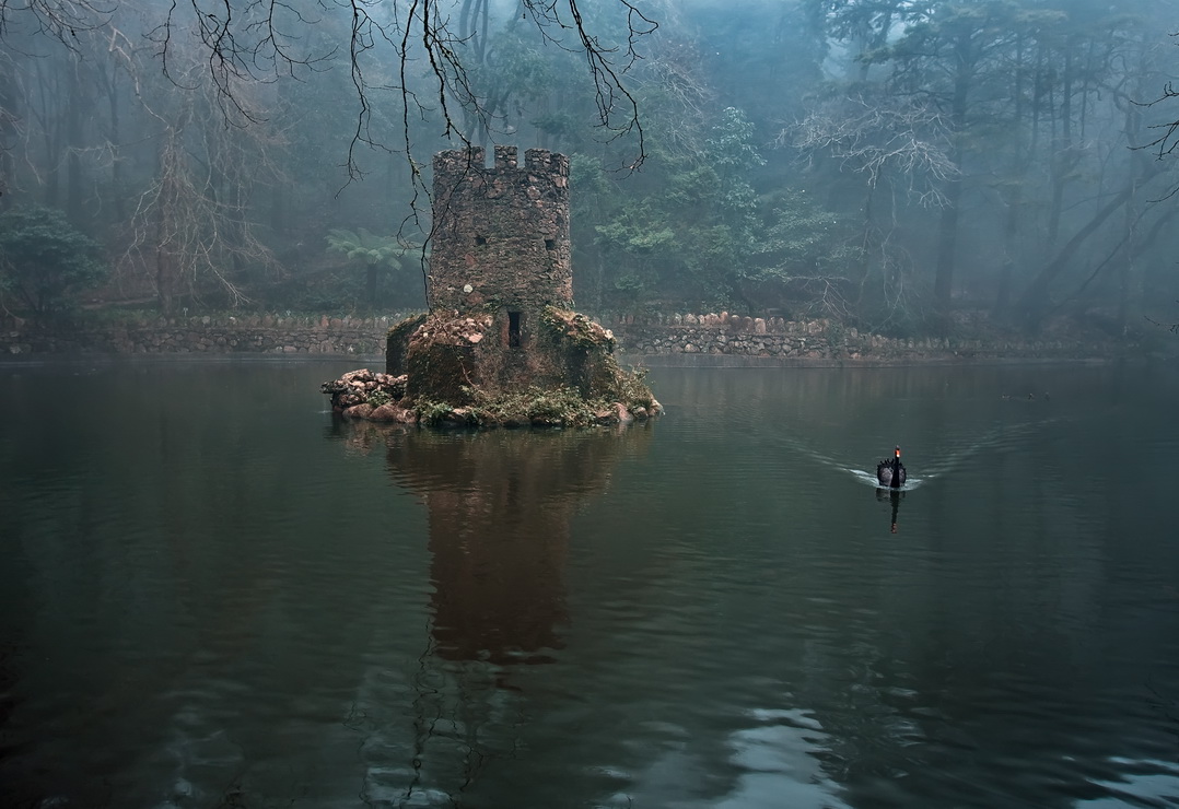 Одиночество.