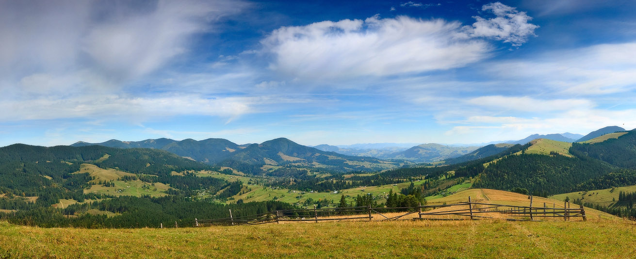 Карпатская с забором