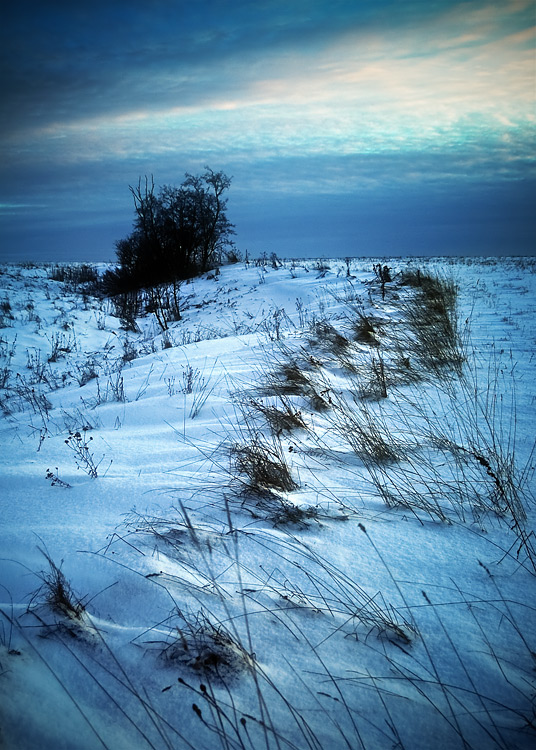 На просторах...