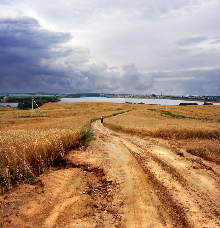 Хлебная пора