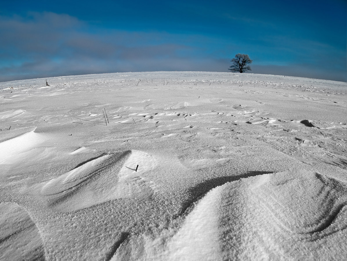 Занесенная снегом