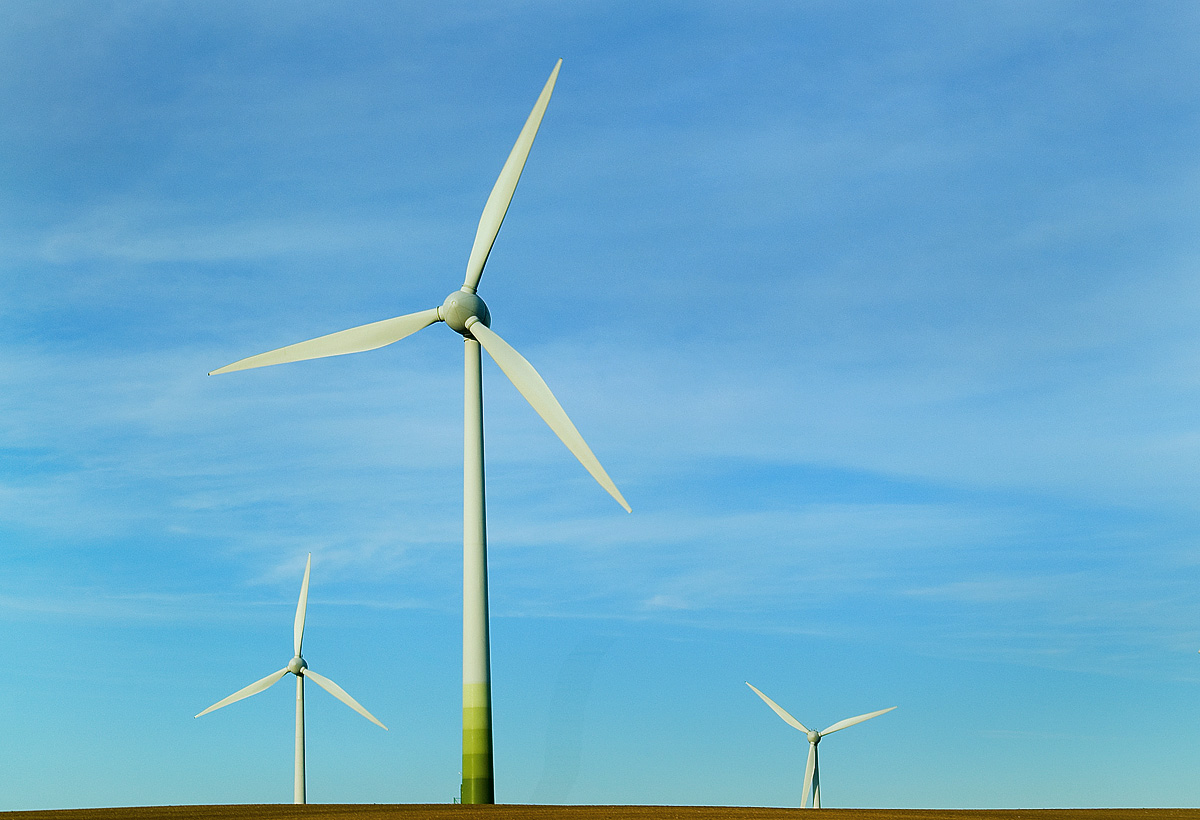 Ветрогоны...