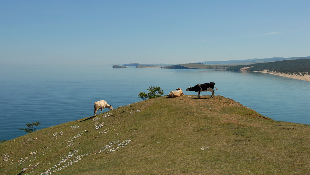 Три грации ))