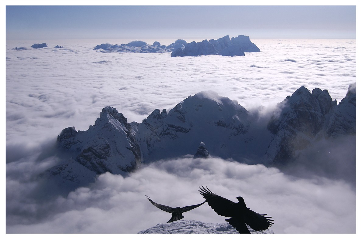 Танцы над облаками