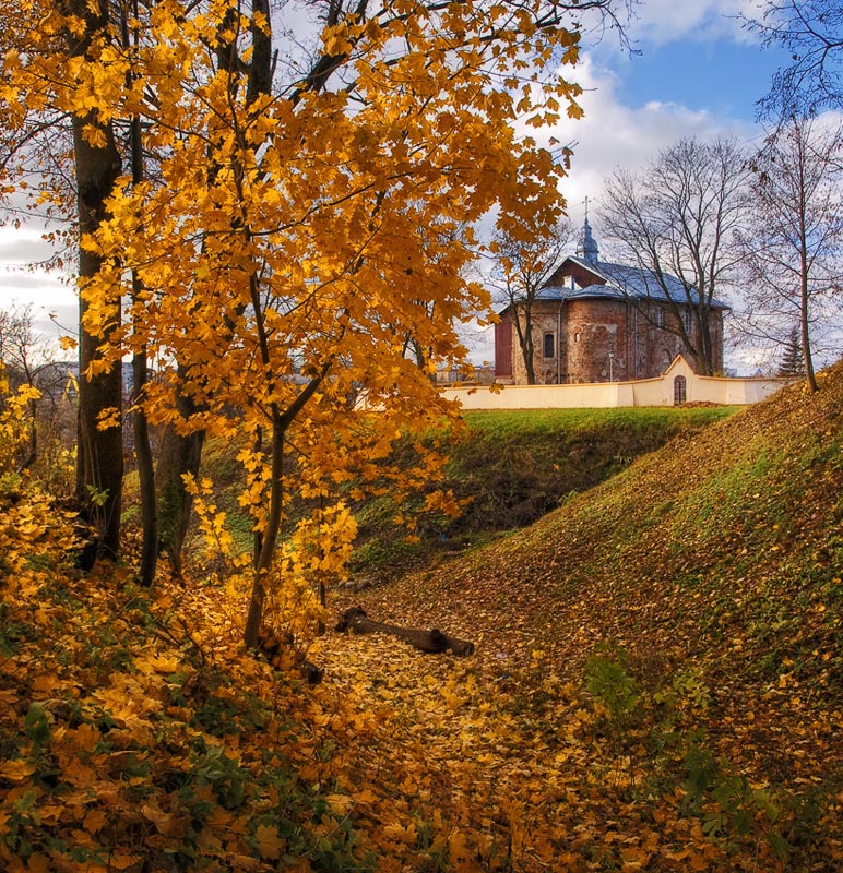 В старом парке