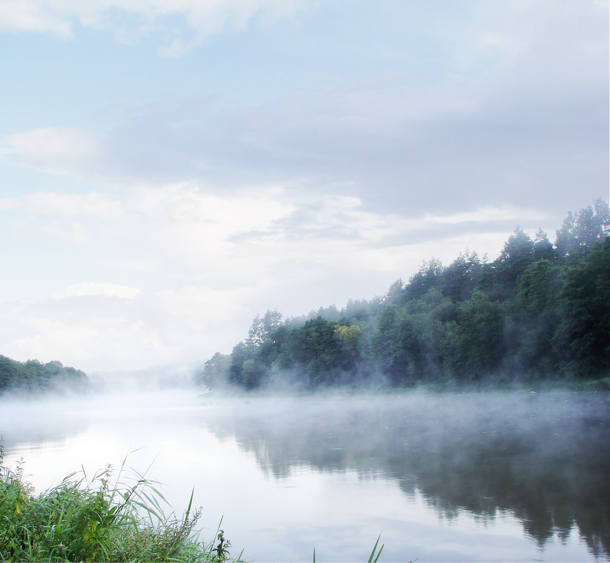 Белое утро...