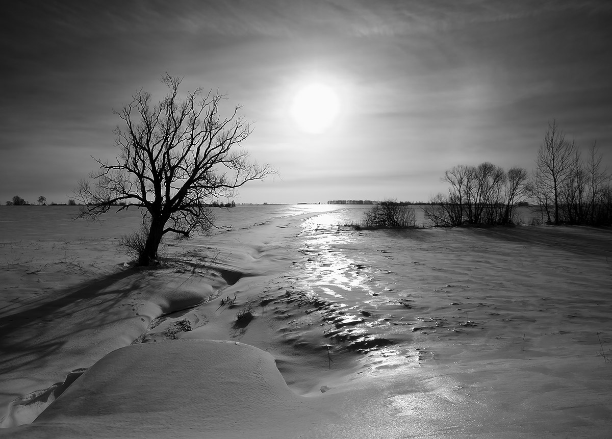 |   Зимний контраст   |