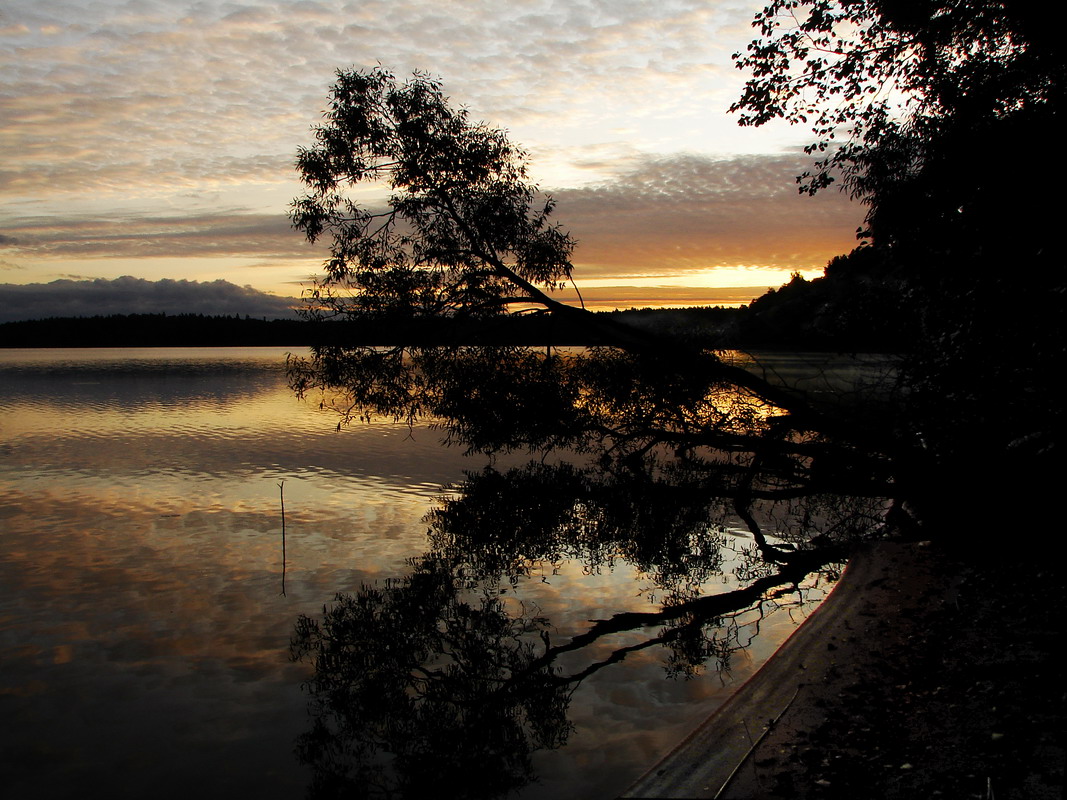 ПРобуждение.....
