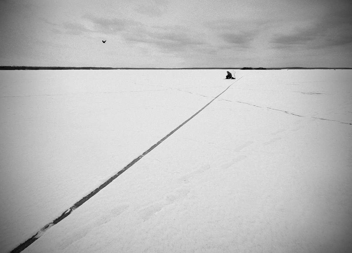 Птица удачи