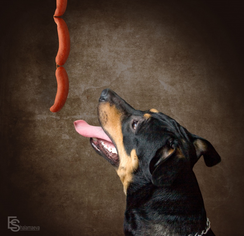 И это всё мне?