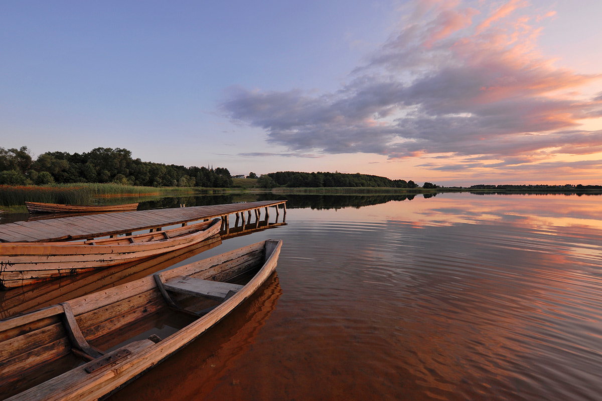 Радость каждого  дня