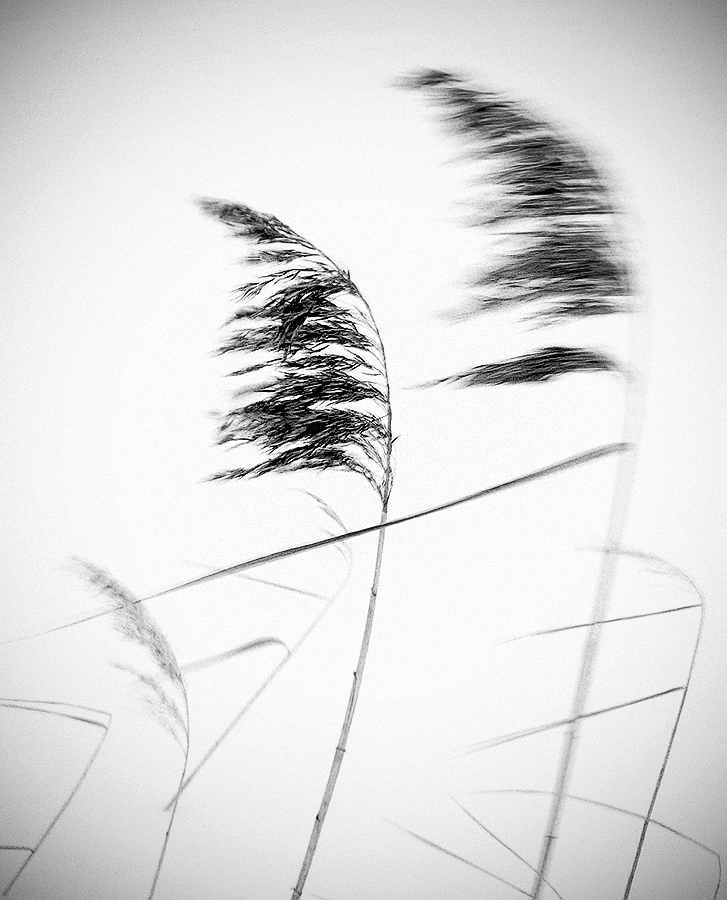 Противостояние