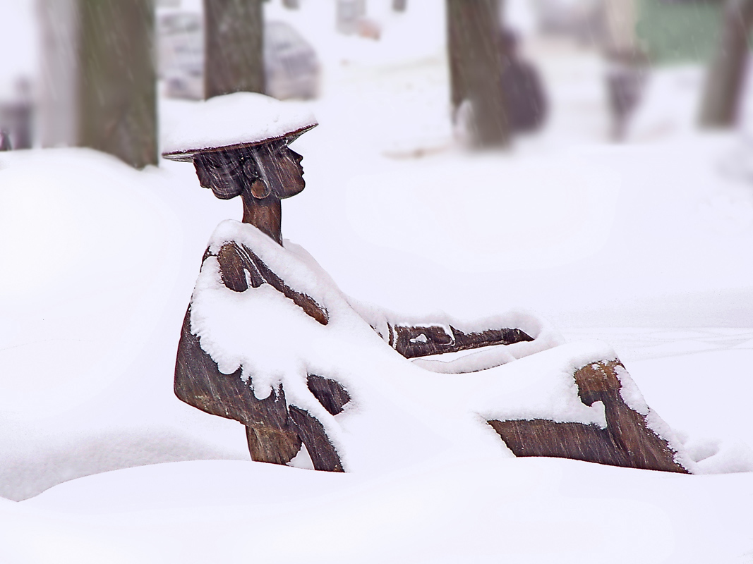 Заснеженная королева....