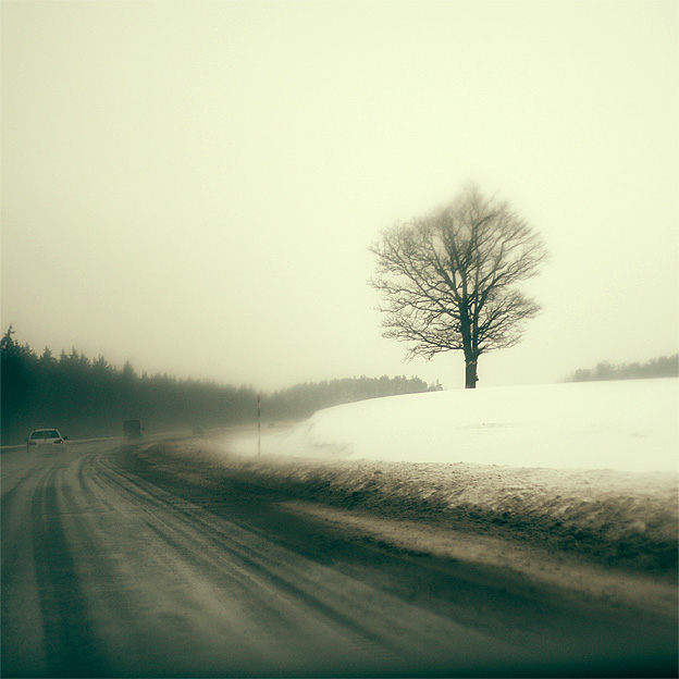 Дорога домой