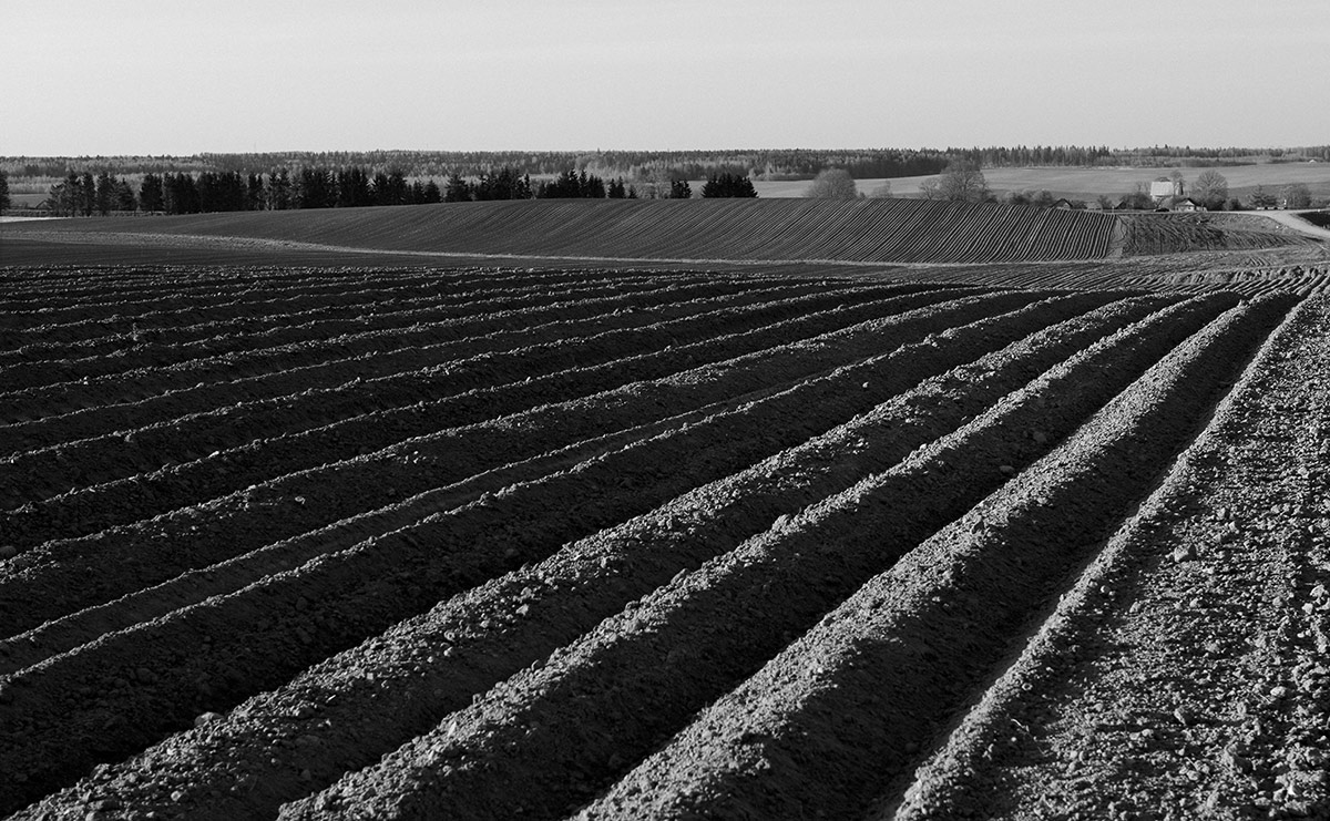 В косую линеечку