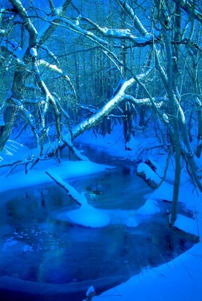 у ледяной речки