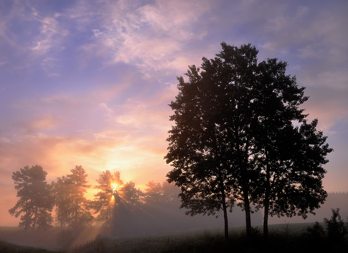 Туман  цвета виски